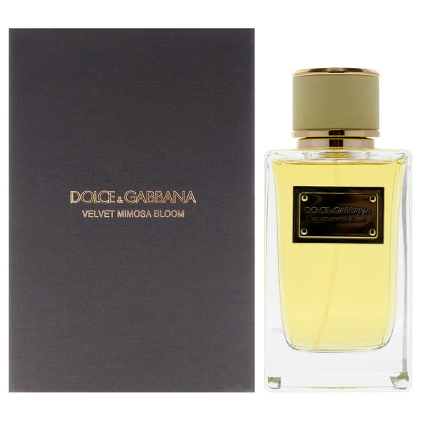 Dolce and Gabbana Velvet Mimosa Bloom – Eau de Parfum 150ml for Women